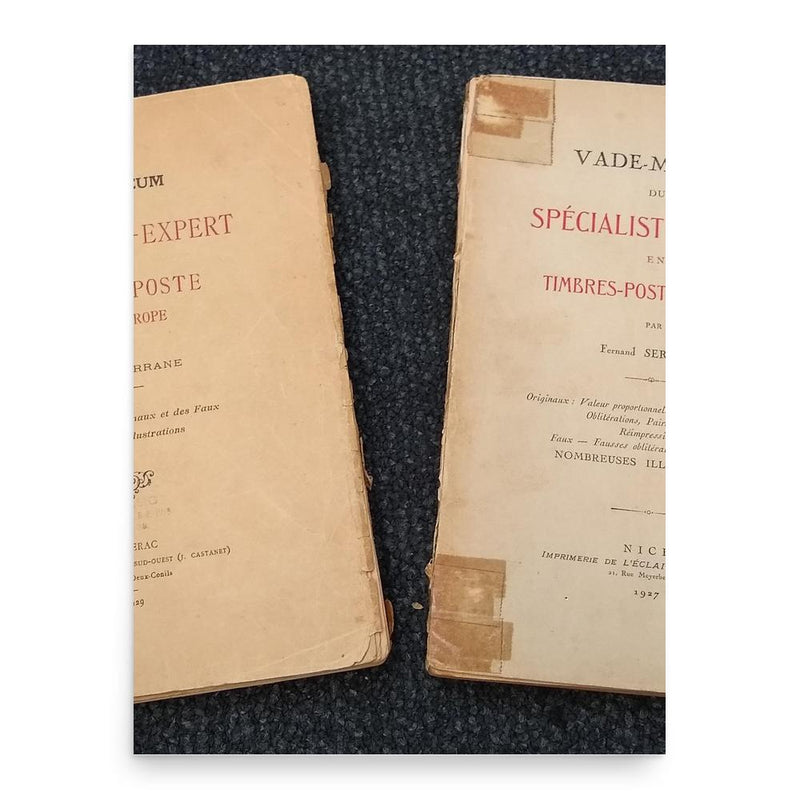 Fernand Serrane poster print, in size 18x24 inches.