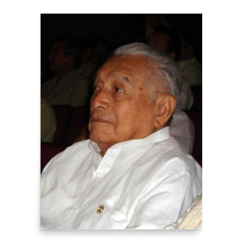 Fernando Castro Pacheco poster print, in size 18x24 inches.