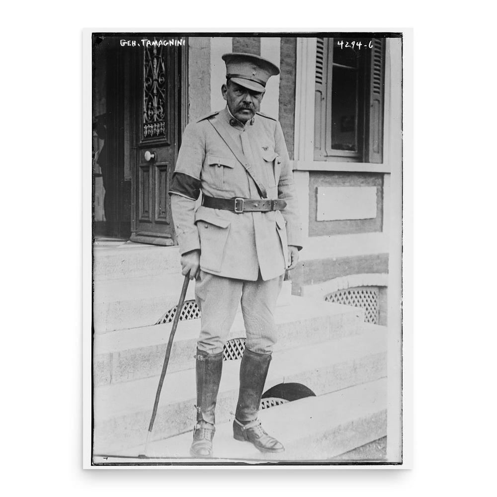 Fernando Tamagnini de Abreu e Silva poster print, in size 18x24 inches.