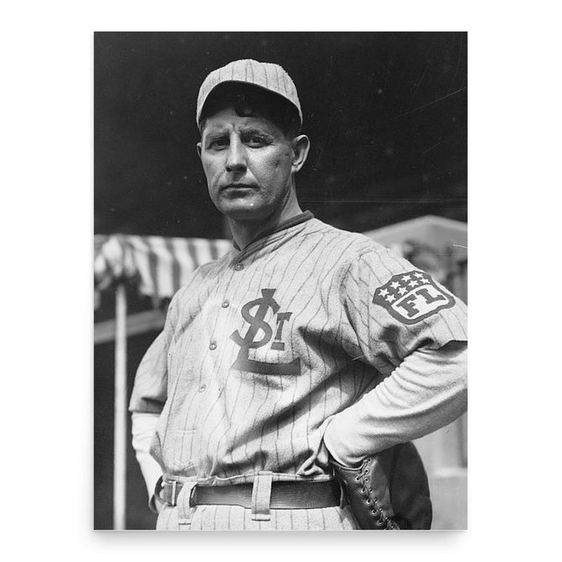 Fielder Jones poster print, in size 18x24 inches.