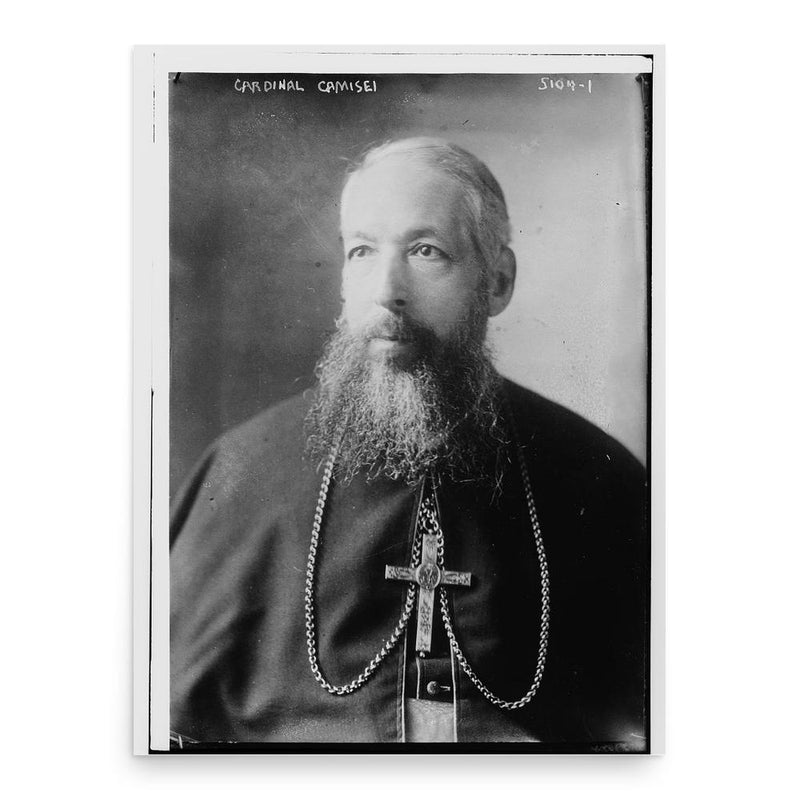 Filippo Camassei poster print, in size 18x24 inches.