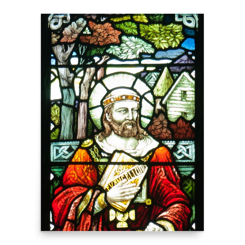 Finnian of Movilla poster print, in size 18x24 inches.