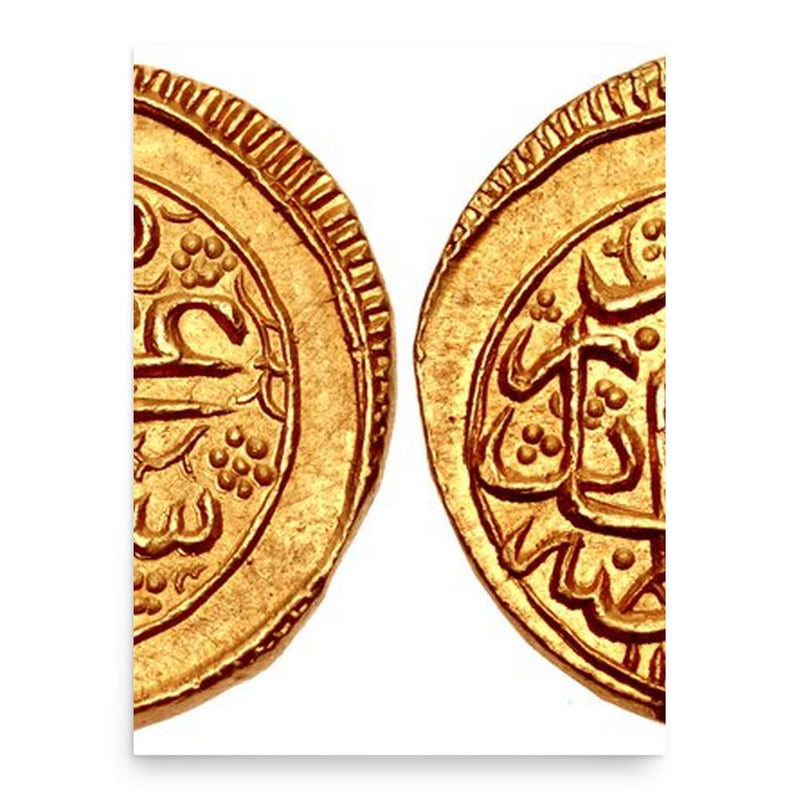 Firuz Shah Suri poster print, in size 18x24 inches.