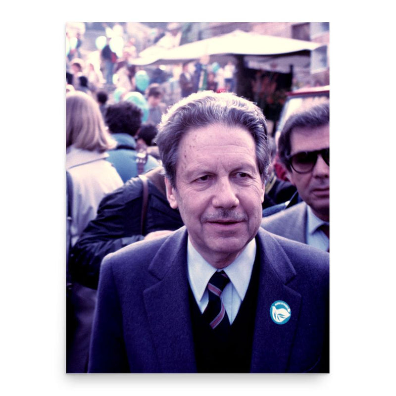 Flaminio Piccoli poster print, in size 18x24 inches.