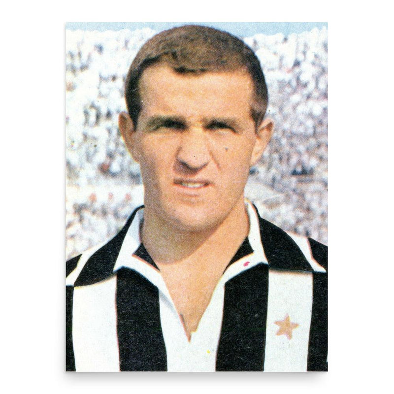 Flavio Emoli poster print, in size 18x24 inches.