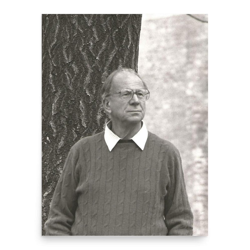 Flavio Testi poster print, in size 18x24 inches.