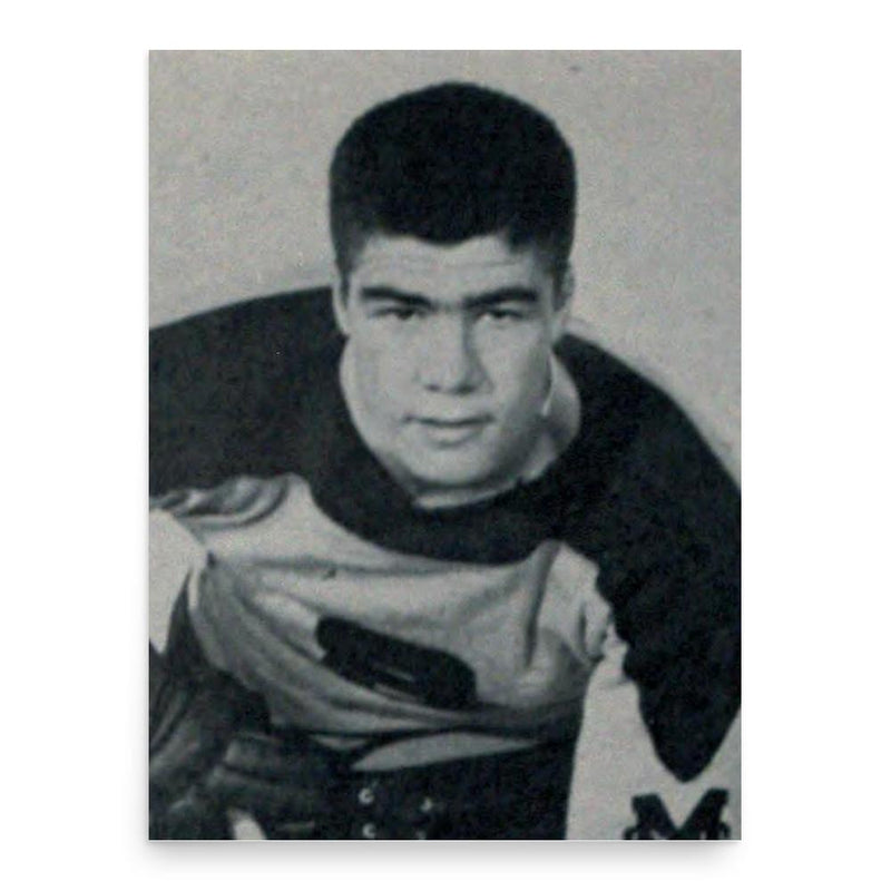 Fleming Mackell poster print, in size 18x24 inches.