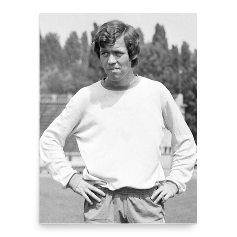 Florea Dumitrache poster print, in size 18x24 inches.