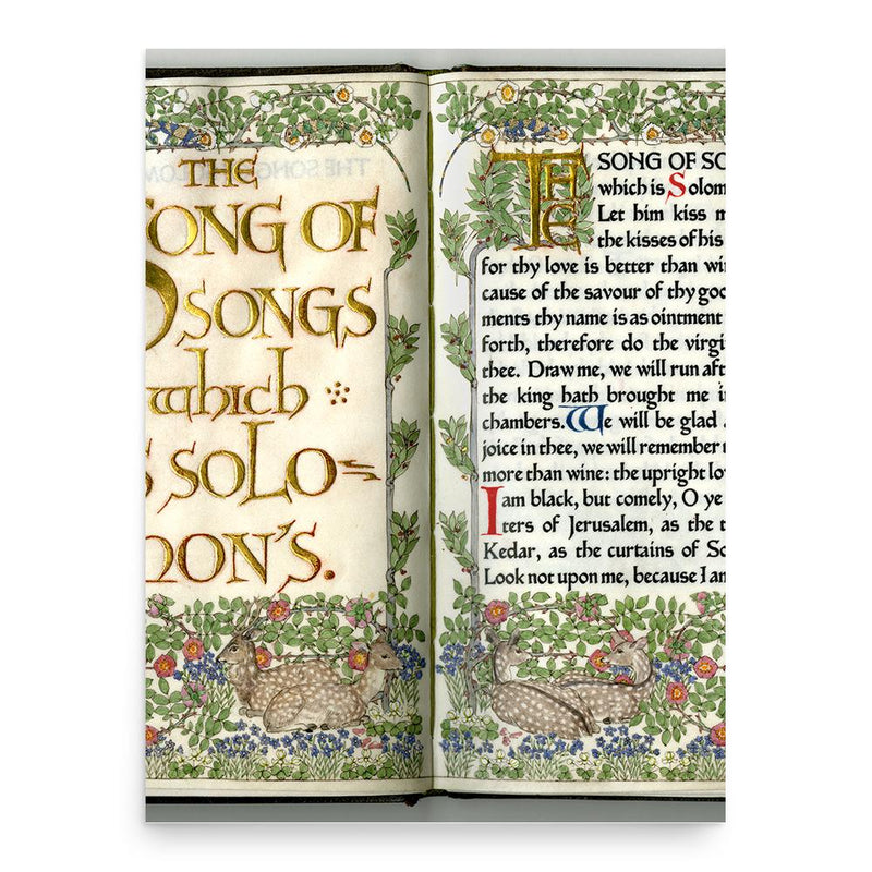 Florence Kingsford Cockerell poster print, in size 18x24 inches.