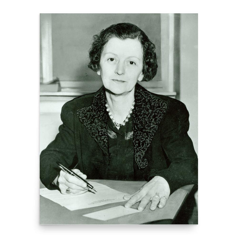 Florence Reville Gibbs poster print, in size 18x24 inches.