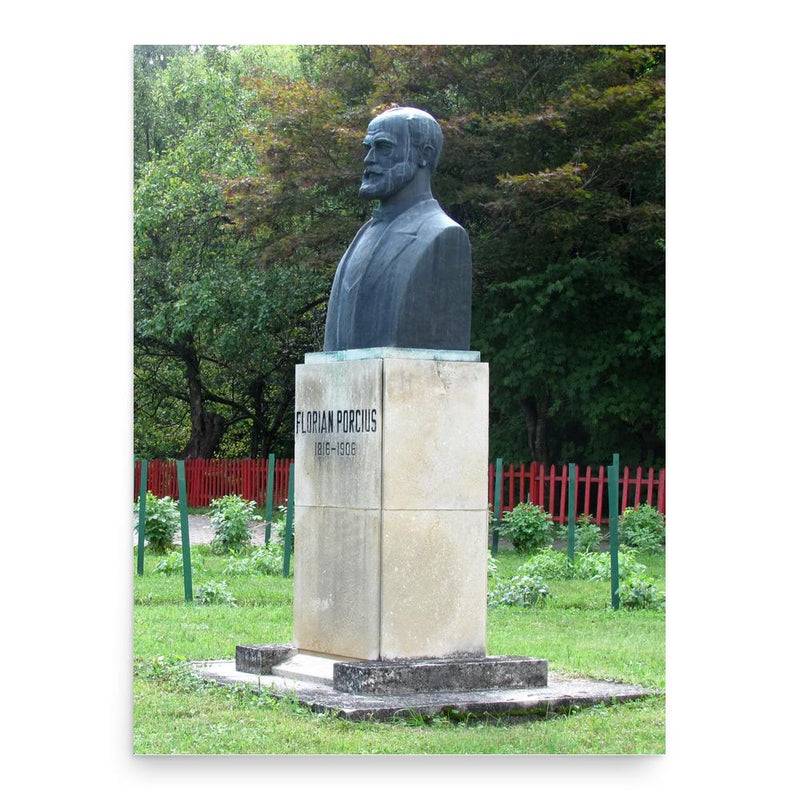 Florian Porcius poster print, in size 18x24 inches.