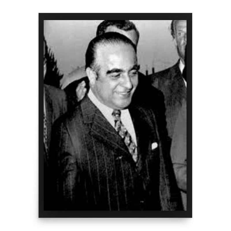 Fouad Naffah poster print, in size 18x24 inches.