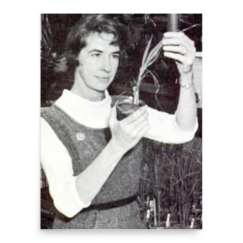 Frances Meehan Latterell poster print, in size 18x24 inches.