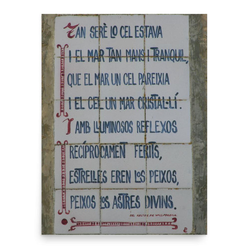 Francesc Vicent Garcia poster print, in size 18x24 inches.