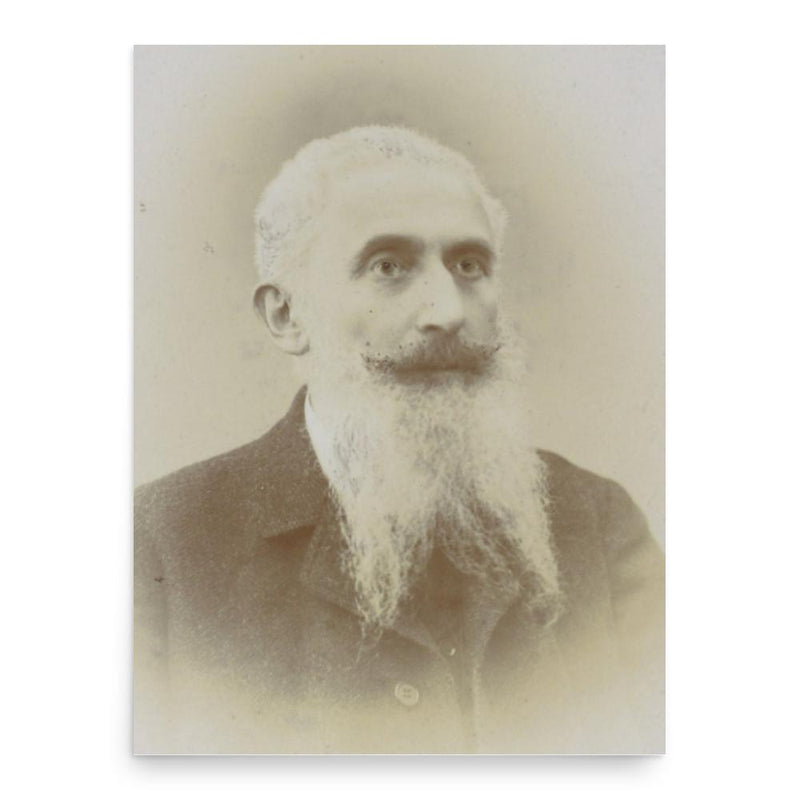 Francesco Bonatelli poster print, in size 18x24 inches.