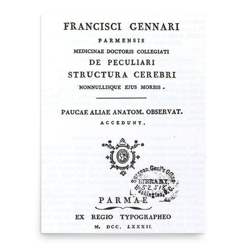 Francesco Gennari poster print, in size 18x24 inches.