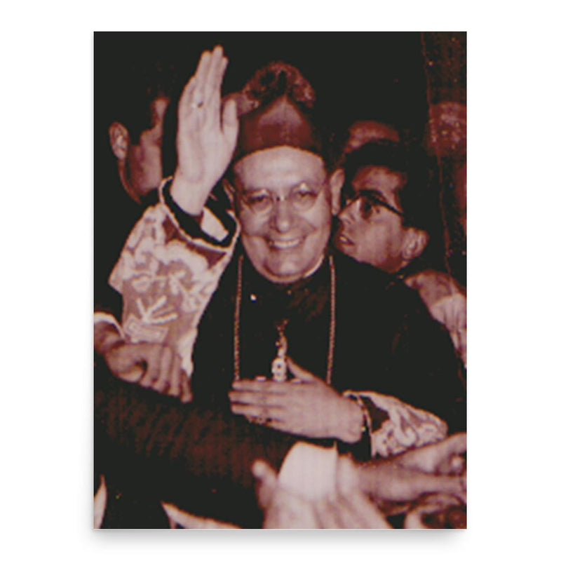 Francesco Minerva poster print, in size 18x24 inches.