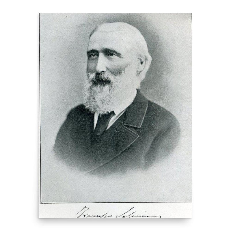 Francesco Selmi poster print, in size 18x24 inches.