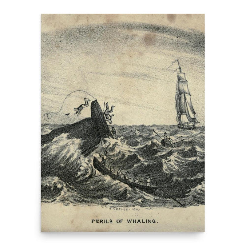 Francis Allyn Olmsted poster print, in size 18x24 inches.