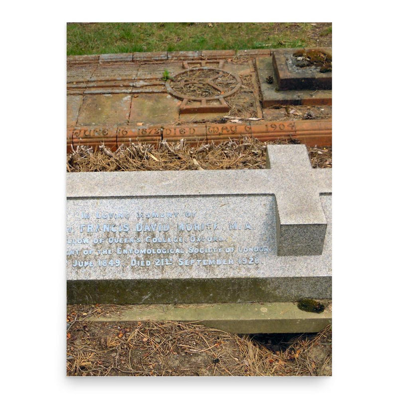 Francis David Morice poster print, in size 18x24 inches.