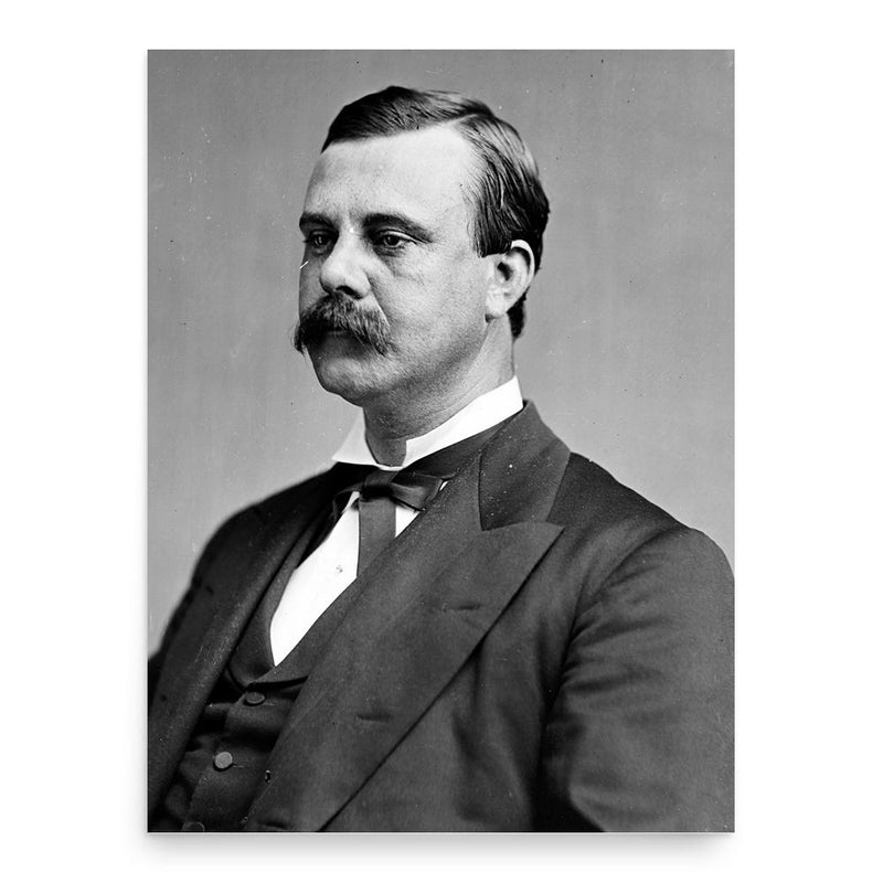 Francis Dolan Collins poster print, in size 18x24 inches.