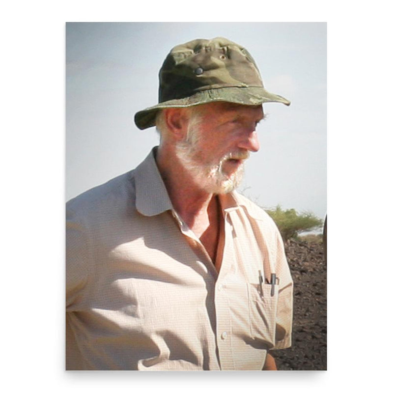 Francis Harold Brown poster print, in size 18x24 inches.