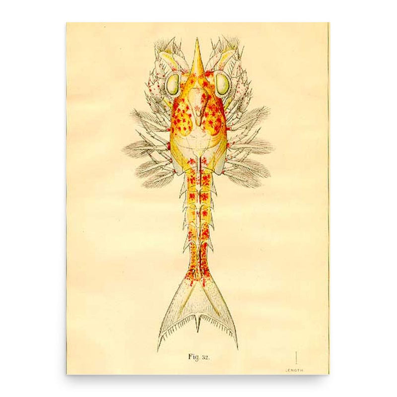 Francis Hobart Herrick poster print, in size 18x24 inches.