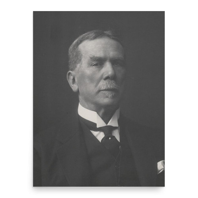 Francis James Newton poster print, in size 18x24 inches.