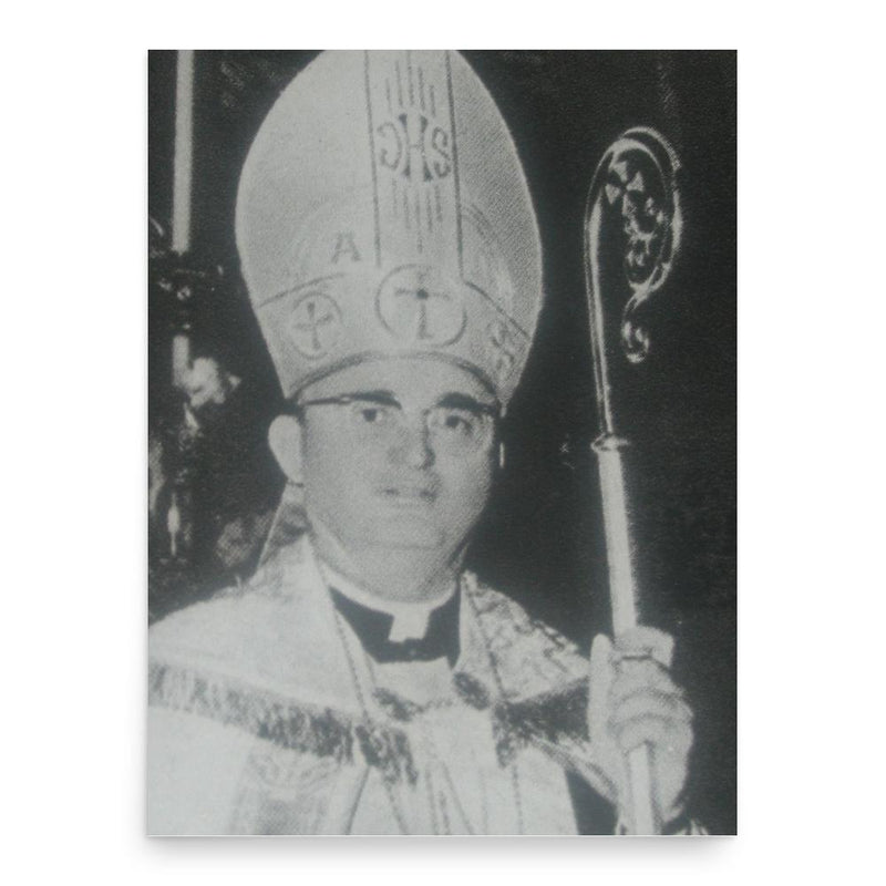 Francis Rowinski poster print, in size 18x24 inches.