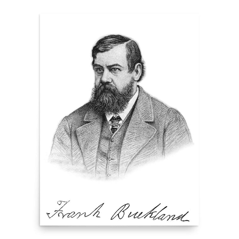 Francis Trevelyan Buckland poster print, in size 18x24 inches.