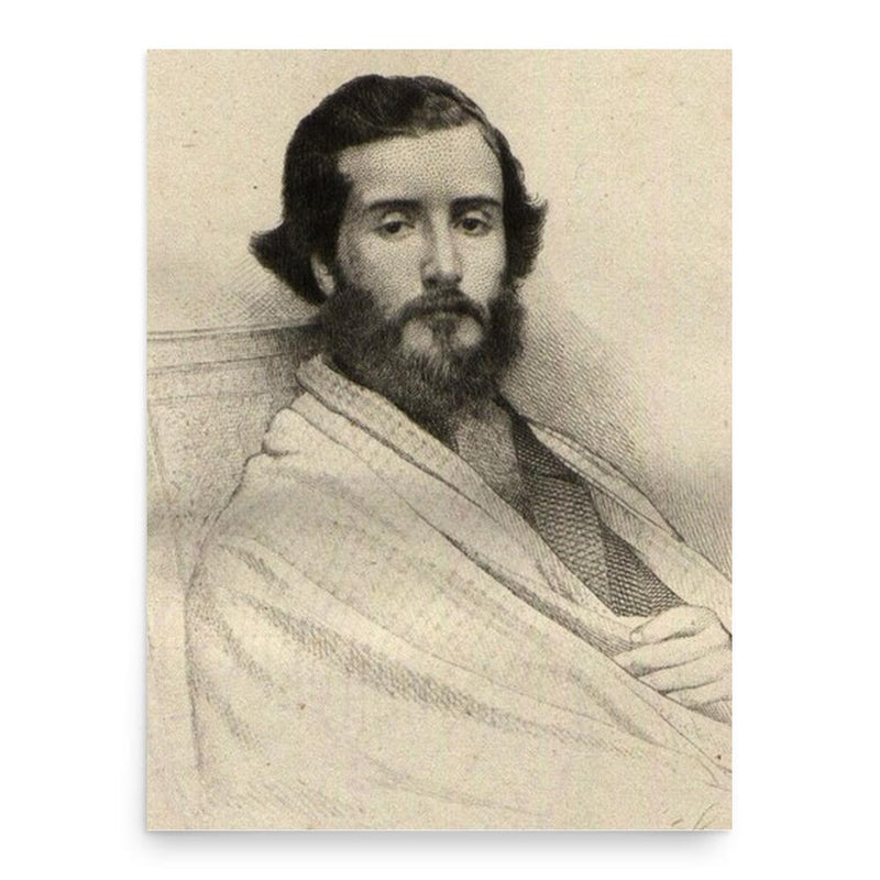 Francisco Augusto Metrass poster print, in size 18x24 inches.