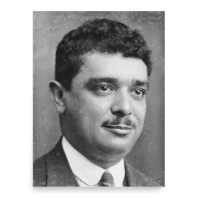 Francisco Cunha Leal poster print, in size 18x24 inches.