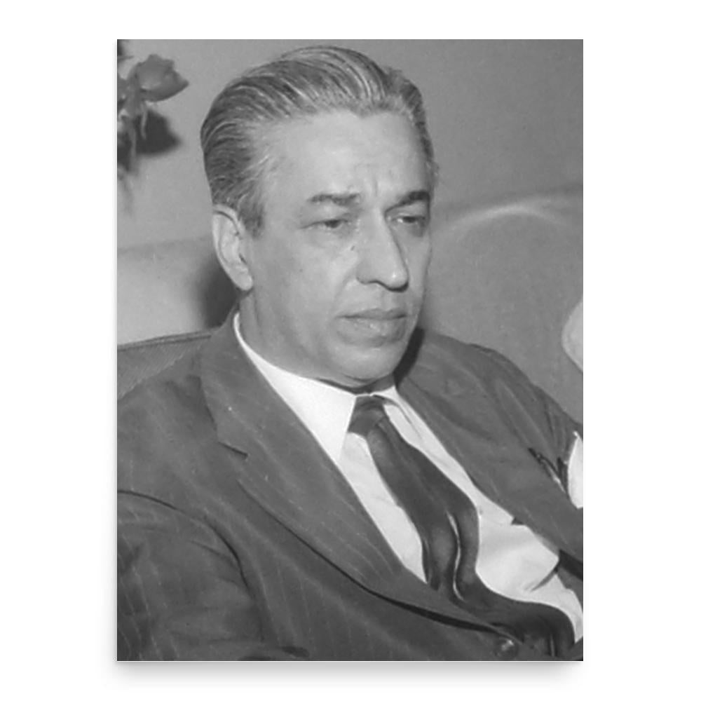 Francisco de Paula Brochado da Rocha poster print, in size 18x24 inches.