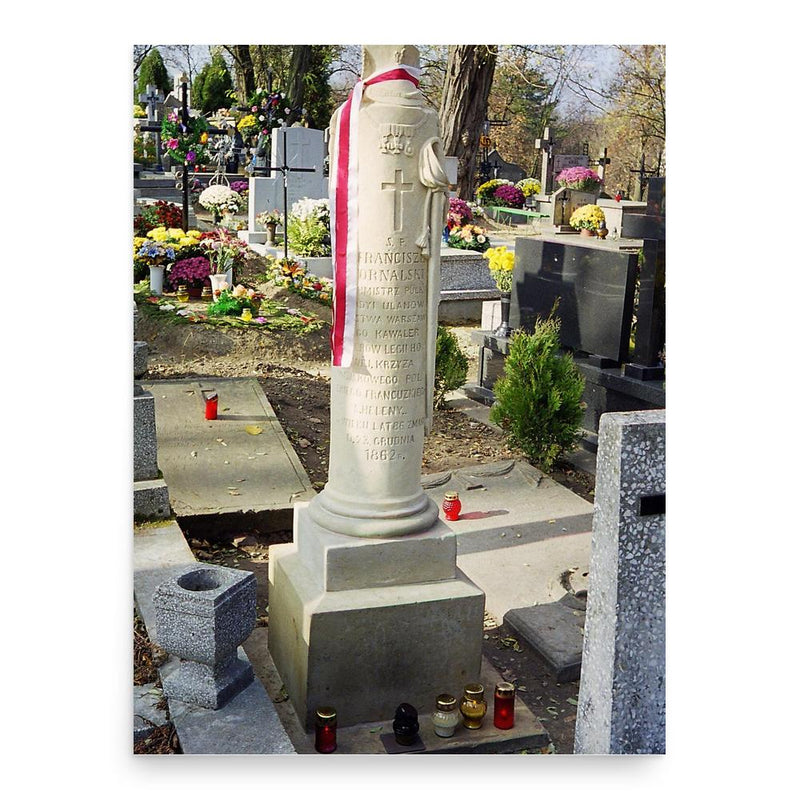 Franciszek Fornalski poster print, in size 18x24 inches.