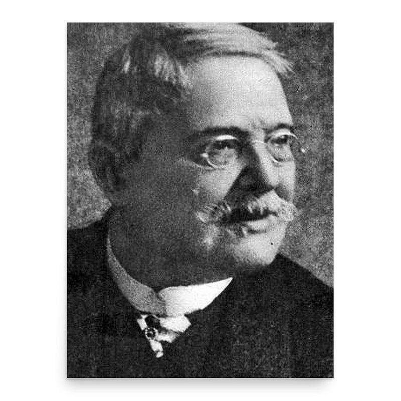 Franciszek Kostrzewski poster print, in size 18x24 inches.