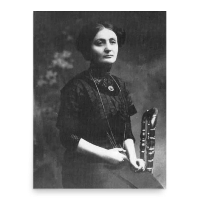 Franciszka Arnsztajnowa poster print, in size 18x24 inches.