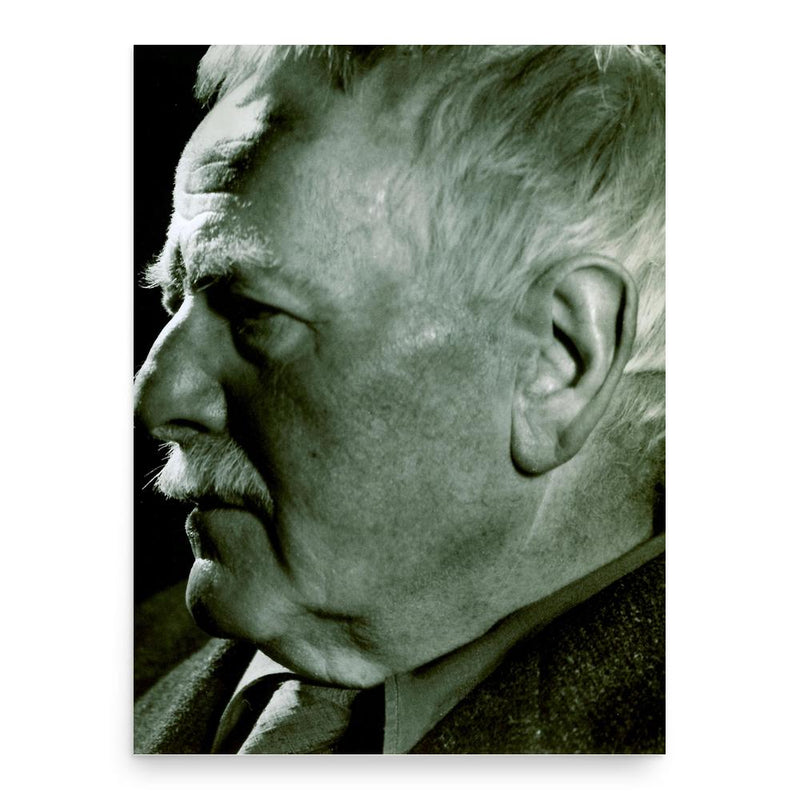 Frank Budgen poster print, in size 18x24 inches.