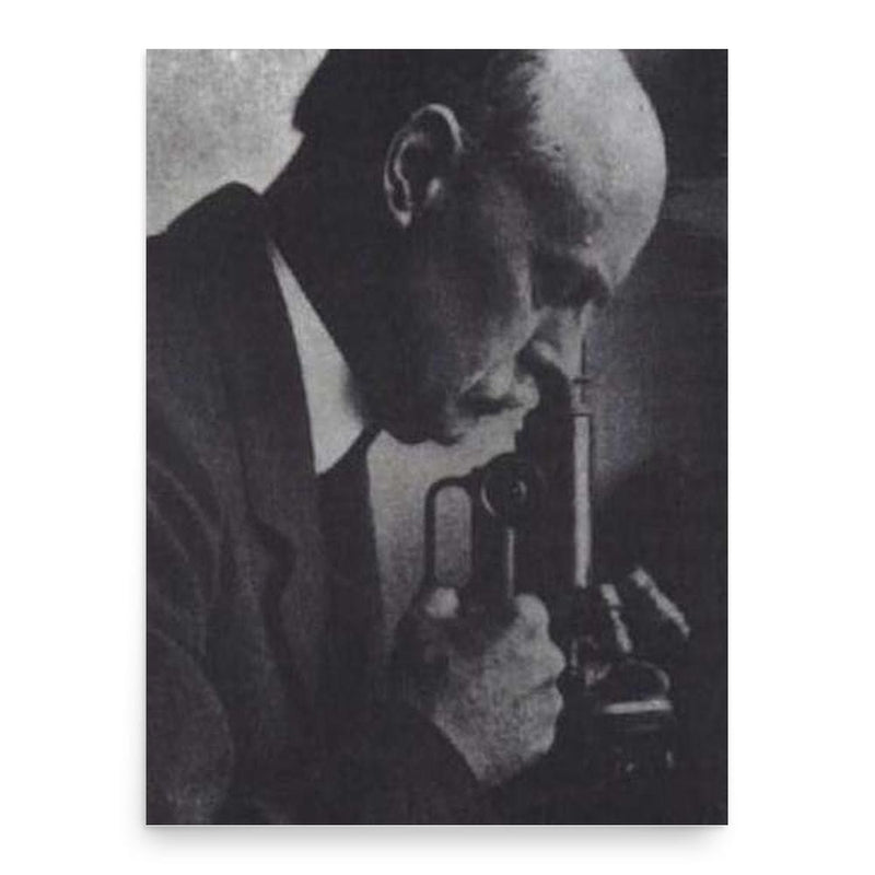 Frank Burr Mallory poster print, in size 18x24 inches.