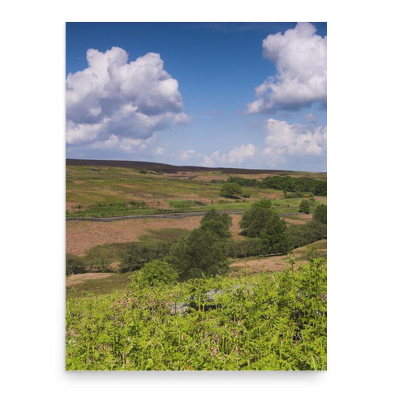 Frank Elgee poster print, in size 18x24 inches.