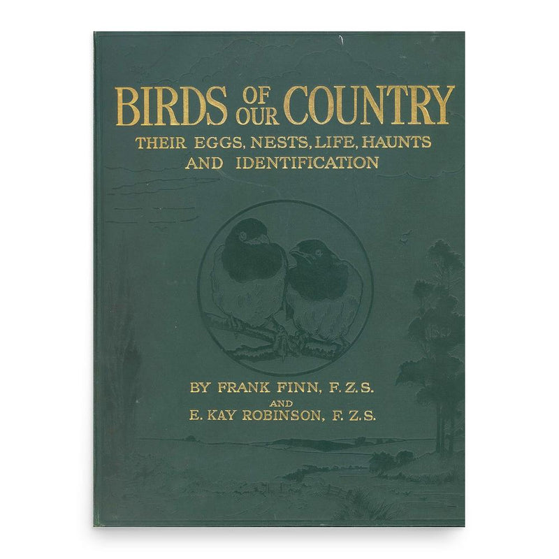 Frank Finn poster print, in size 18x24 inches.