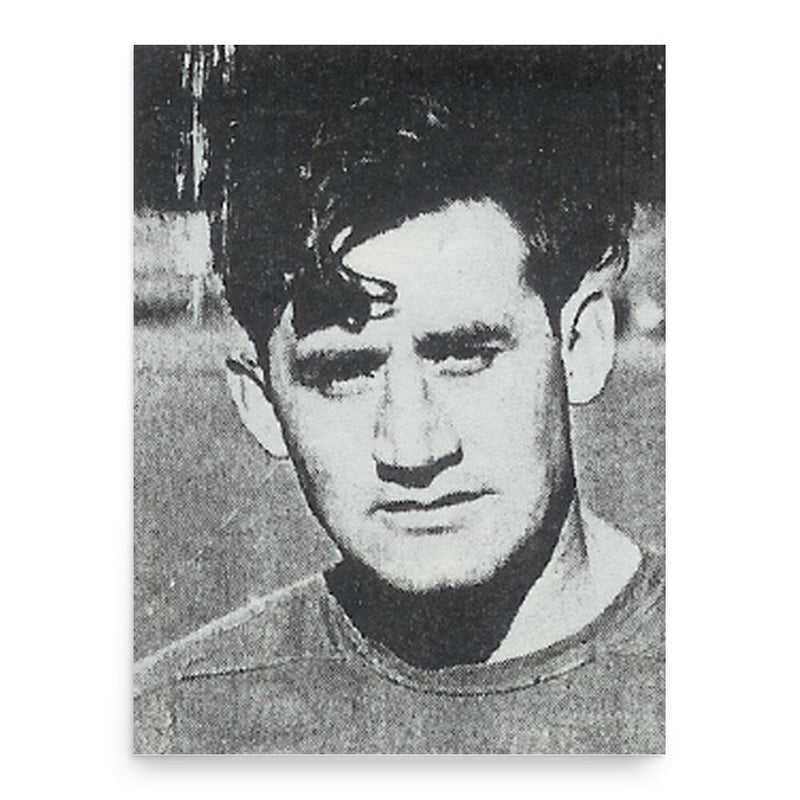 Frank Liebel poster print, in size 18x24 inches.