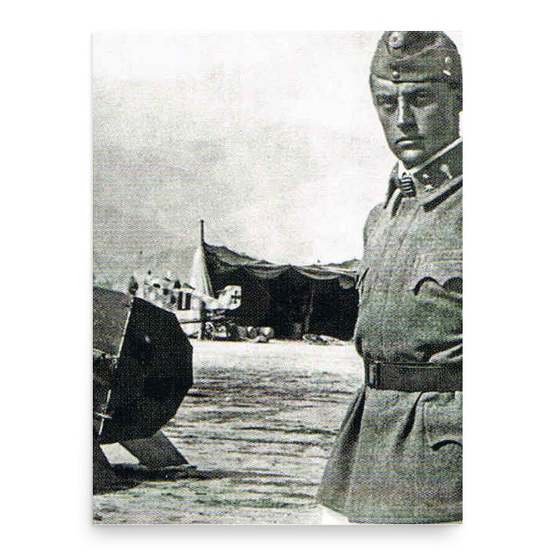 Frank Linke-Crawford poster print, in size 18x24 inches.