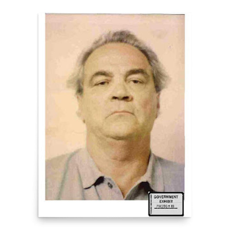 Frank Schweihs poster print, in size 18x24 inches.