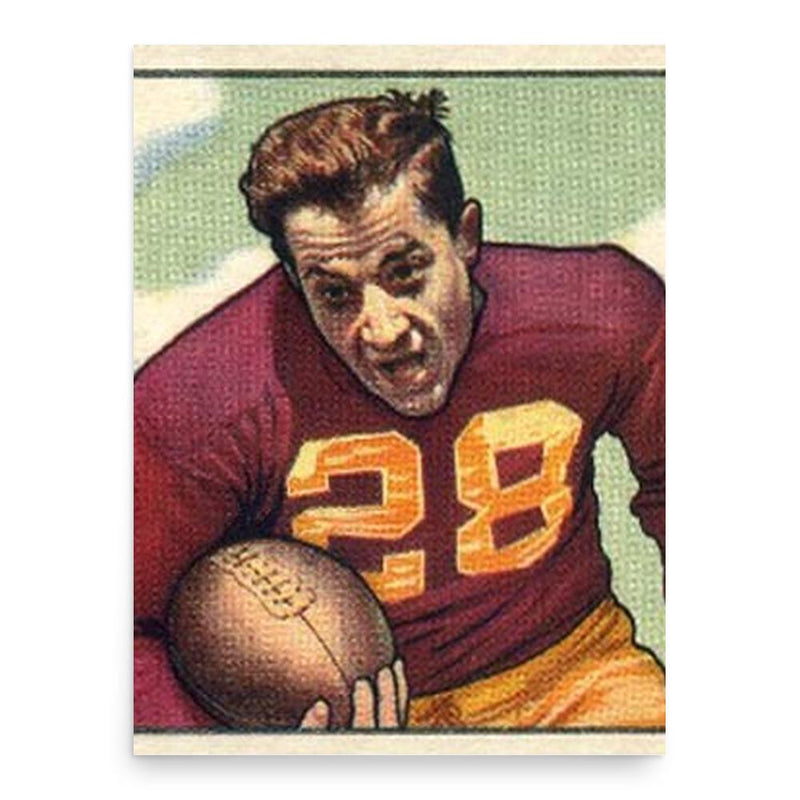 Frank Spaniel poster print, in size 18x24 inches.