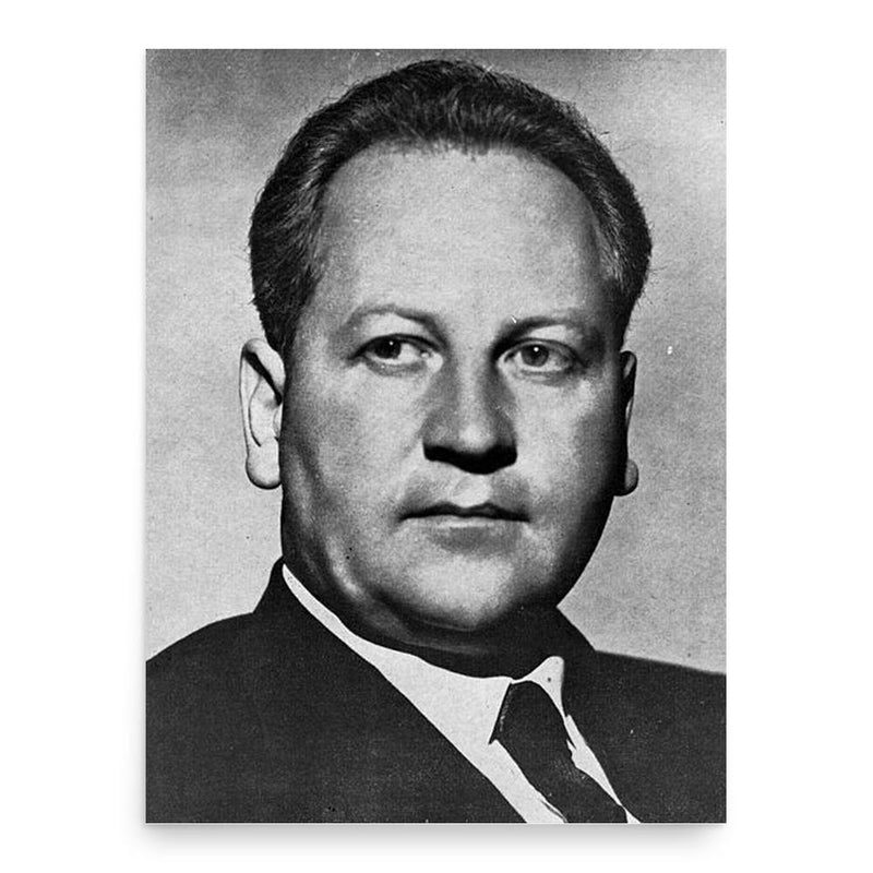 Frans Erasmus poster print, in size 18x24 inches.