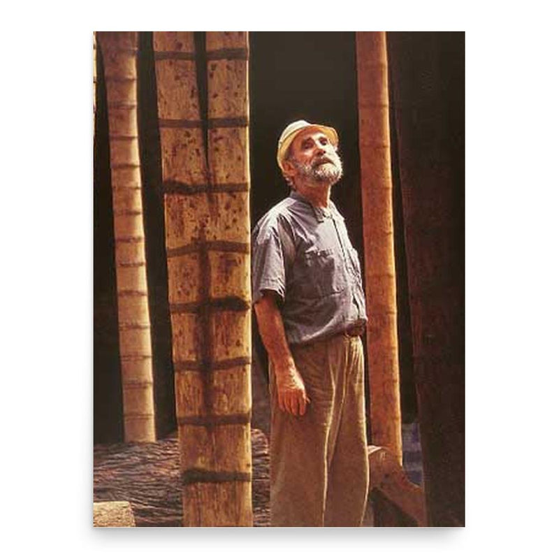 Frans Krajcberg poster print, in size 18x24 inches.