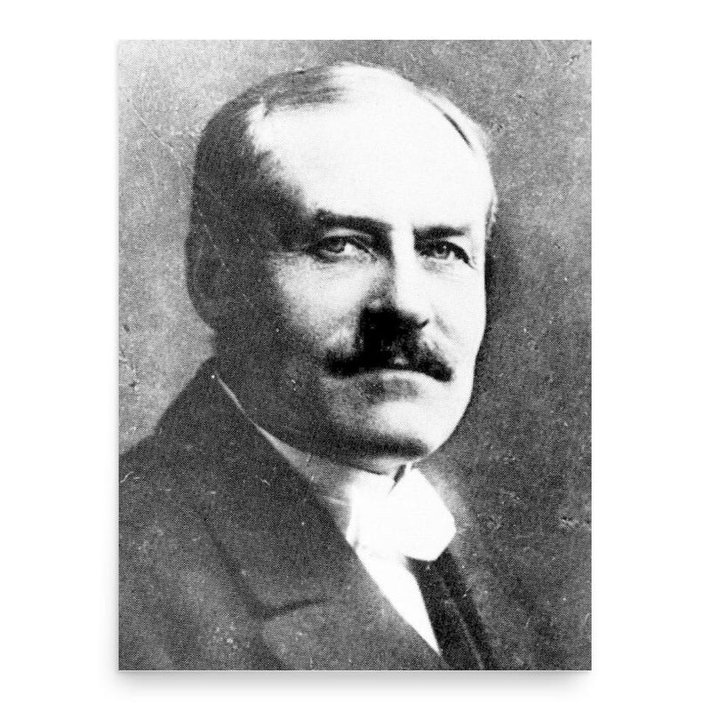 Frans Wilhelm Lindqvist poster print, in size 18x24 inches.