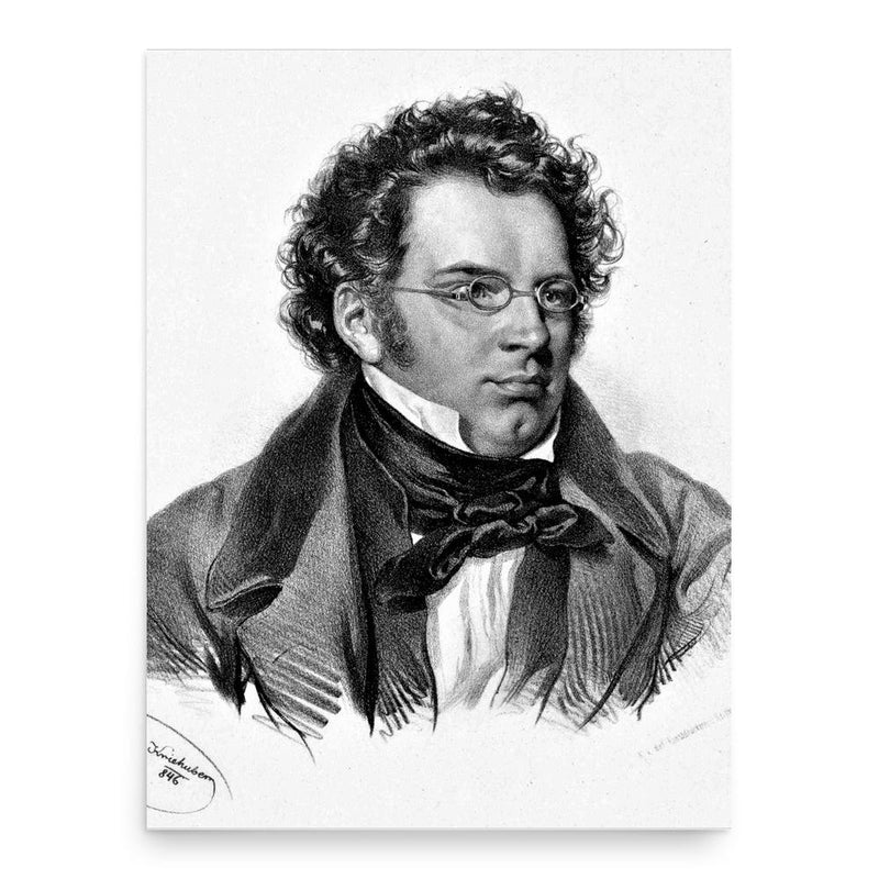 Franz Schubert poster print, in size 18x24 inches.