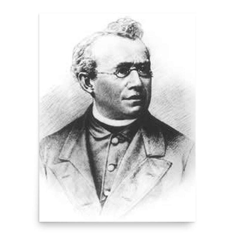 Franz Xaver Witt poster print, in size 18x24 inches.