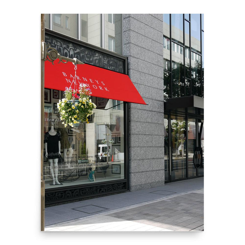 Fred Pressman poster print, in size 18x24 inches.